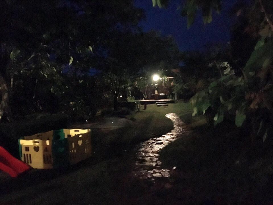 An Binh Homestay Νταλάτ Εξωτερικό φωτογραφία